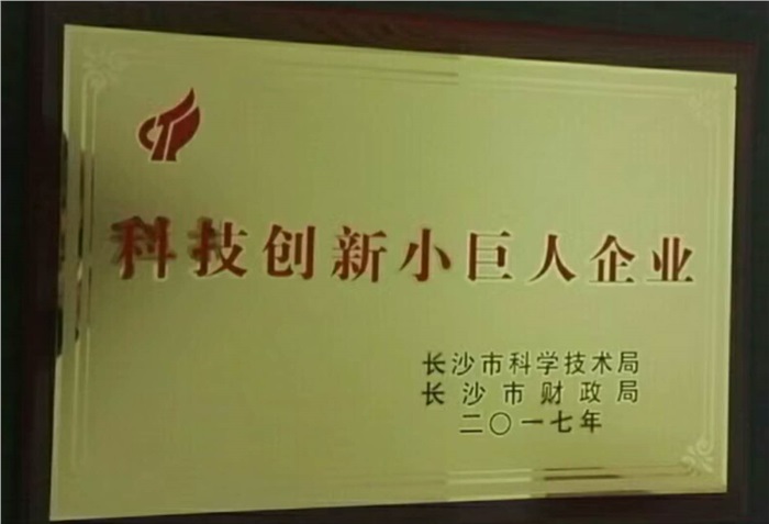 拼搏（中国）有限公司官网智能荣获科技创新小巨人企业
